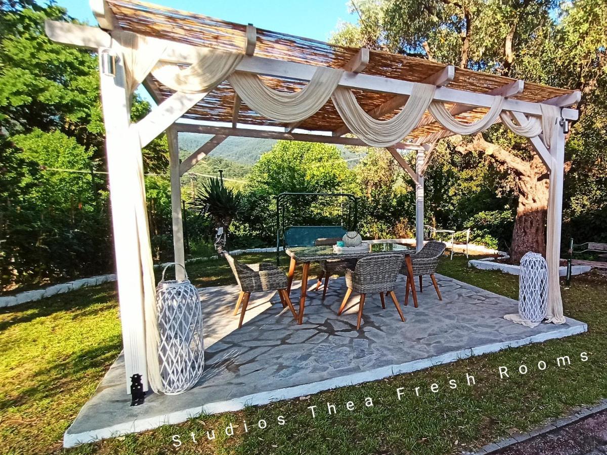 Studios Thea Fresh Rooms Thassos Dış mekan fotoğraf