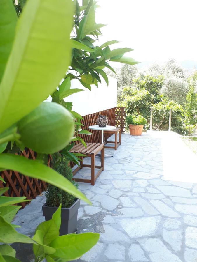 Studios Thea Fresh Rooms Thassos Dış mekan fotoğraf